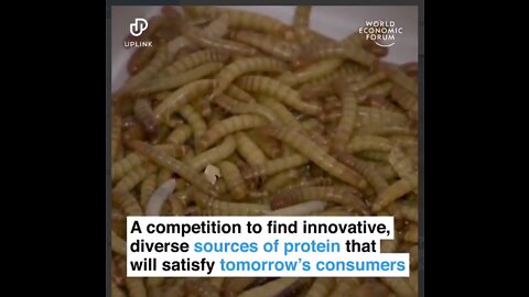 world economic forum Brainwashing people to eat insects