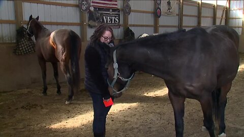 At Forever Amber Acres, Abused horses are rescued and repurposed to provide therapy to vets, frontline workers