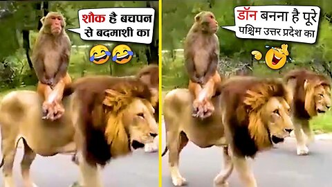 इन जानवरों से पंगा ना बाबा ना 🤣😜.... Funny Animals Video 2022 (Part-7)