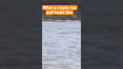 What a crypto rug pull looks like