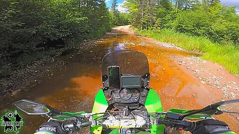 Why I DON'T Buy Local | KLR 650 Trail Riding WI