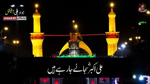 Ali Akbar Sjaye Ja Rhy Han - Karbala Shayari Whatsapp Status - Imam Hussain Poetry - Muharram Ashura