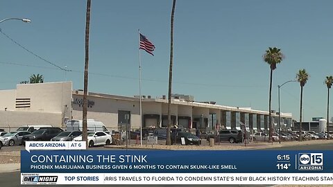 Marijuana grow facility given six months to get rid of 'skunky' smell