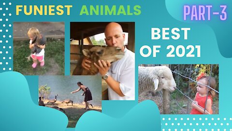 Funniest Animals Best Of The 2021 (Part-3)