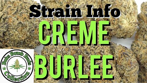 Creme Burlee, Cannabis Strain