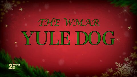 The WMAR-2 News Yule Log 2019