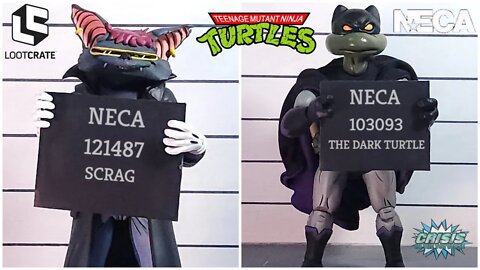 Loot Crate NECA TMNT Scrag & Donatello The Dark Turtle Figure Review