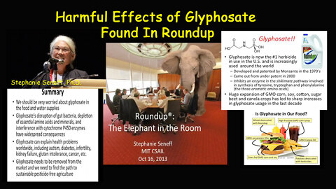 Harmful Effects of Glyphosate Found In Roundup