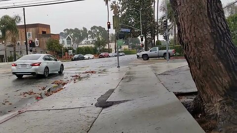 Culver City Walk Rain