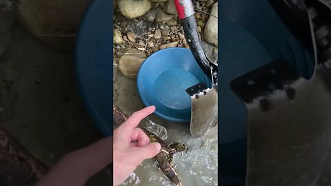 Gold panning gold straight off of the clay!