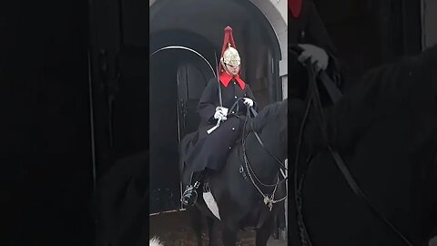 Kings guard charges horse at tourist #thekingsguard