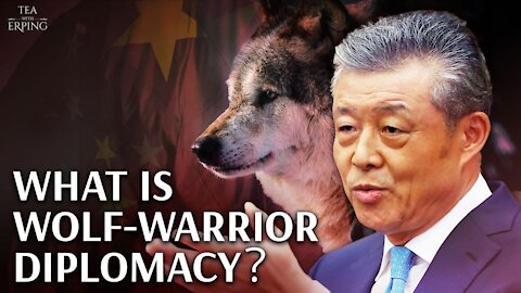 Who are the Chinese Wolf-Warrior Diplomats? | Tea with Erping