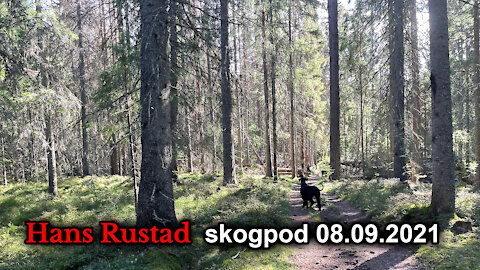 Skogpod 8. september: Krist og Anti-Krist