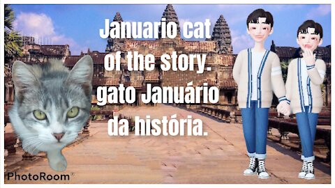 gato Januário conta sua própria história/cat Januário