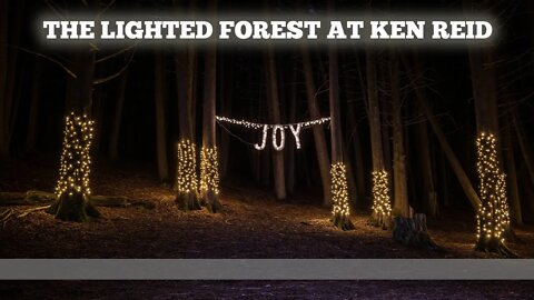 Lighted Forest At Ken Reid Conservation Area