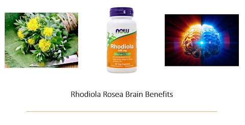 Rhodiola rosea Brain Benefits