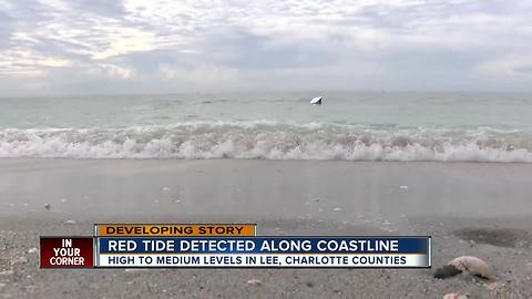 High to medium levels of red tide in Lee County