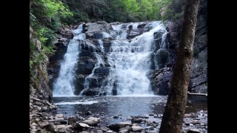 9. Appalachian trail thru-hike 2022. 19E-TN91, mile 395.3 - 449.1