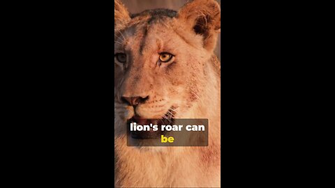 Roaring Facts: The Majestic Lion Roaring Facts: The Majestic Lion Roaring Facts_The Majestic Lion