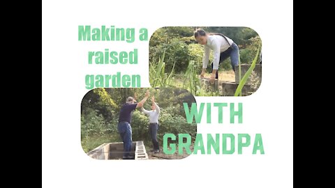 Making a raised garden with grandpa