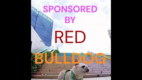 Extreme sports: Sponsored by Red Bulldog