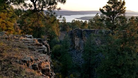 Mountain Top Lake Heron