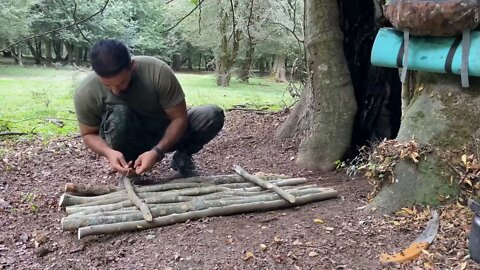 Tree hole shelter/11