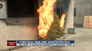 Christmas tree fire demonstration