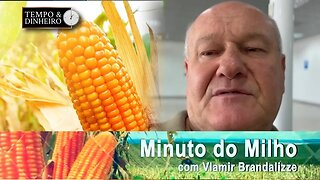 Milho ainda pressionado no Brasil