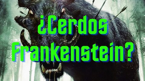 Partido Político de IA, Dr. Frankenstein, Científicos Reviven Cerdos Después De 1 Hora De Muerte