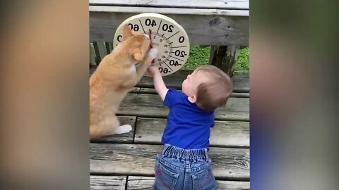 Cutest Babies Play With Dogs And Cats Compilation || Cool Peachy