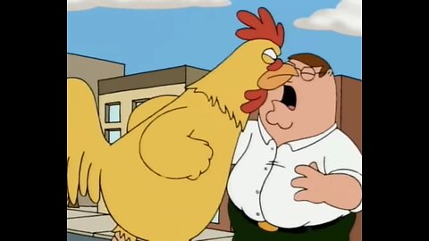 Family guy🐓Peter fights chicken part1