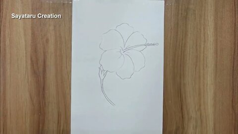 How to draw a hibiscus flower step by step pencil sketch