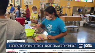 Edible Schoolyard Kern County offers a unique summer camp opportunity