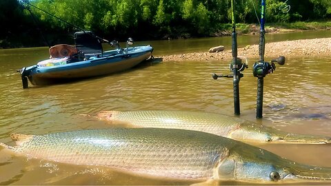 Part 2 SIMPLE Catch And Release Gar Fishing Method 🦖