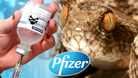 Scientist Discovers Venom In COVID Shot Vials: Evidence of Venom In Pfizer