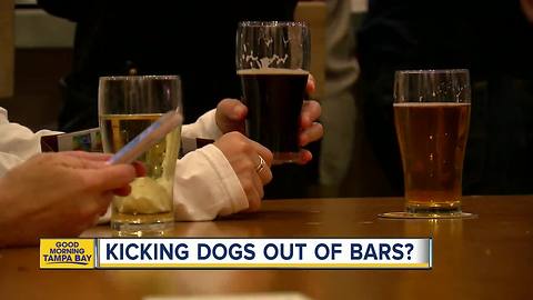 Florida health officials cracking down on dogs inside breweries