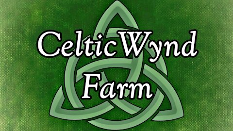 Introduction to CelticWynd Farm!