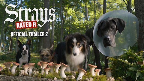 Strays (2023)