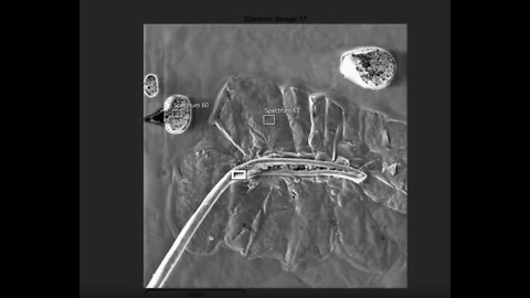 [VAX NOT GOOD] New Findings From Vaccine Microscope & Compositional Analysis