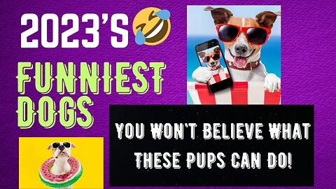 Laugh Out Loud with These Top 10 Funny Dog Videos of 2023 🤣 - Guaranteed to Brighten Your Day!🥰