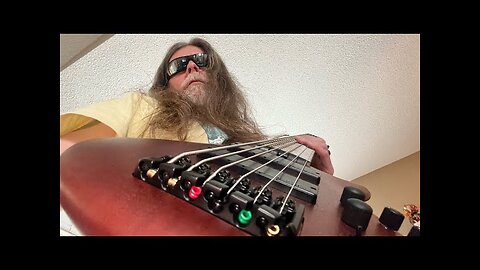 Motley Crue (Without You) Bass Cover