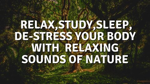 Relax, Study, Sleep or De-Stress Your Body with relaxing sounds of nature