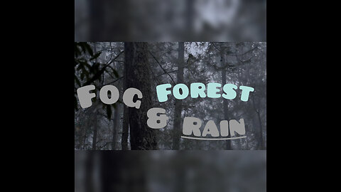 Fog and rain in the forest immerse your self in nature free your spirit with white noise.