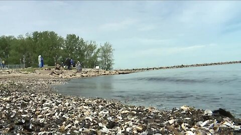 Clean up starts in Port Clinton after weekend flooding