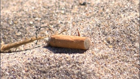 Environmentalists call cigarette butts a "secret threat" to our waterways