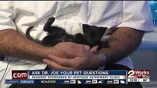 Ask Dr. Joe: Meet Betty