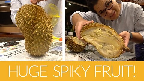 HUGE SMELLY FRUIT! (DURIAN)