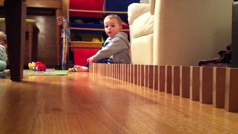 Tot Boy Knocks Down The Dominoes