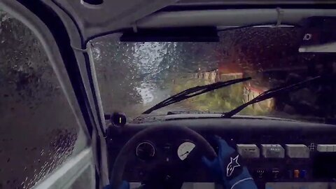 DiRT Rally 2 - 205T16 Trudges Through Jagodno